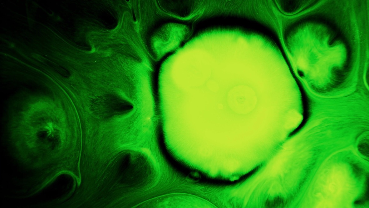 BIOSTATIC abstract artwork